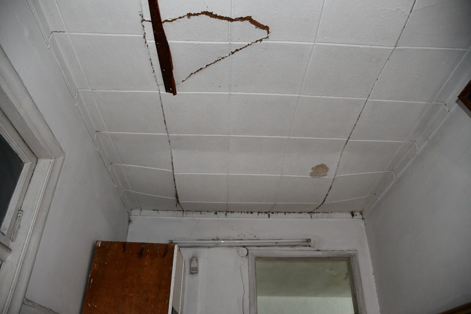 WhatsApp Image 2020-02-10 at 11.22.41 AM.jpeg.jpeg